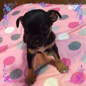 Meet your Posher, Tonya